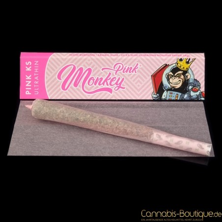 Pinke Papers 2