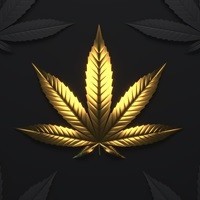 420 Zubehör | Cannabis-Boutique.de