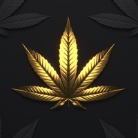 Tabakersatz | Real Leaf | Knaster | Cannabis-Boutique.de