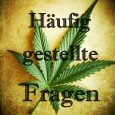 Häufig gestellte Fragen